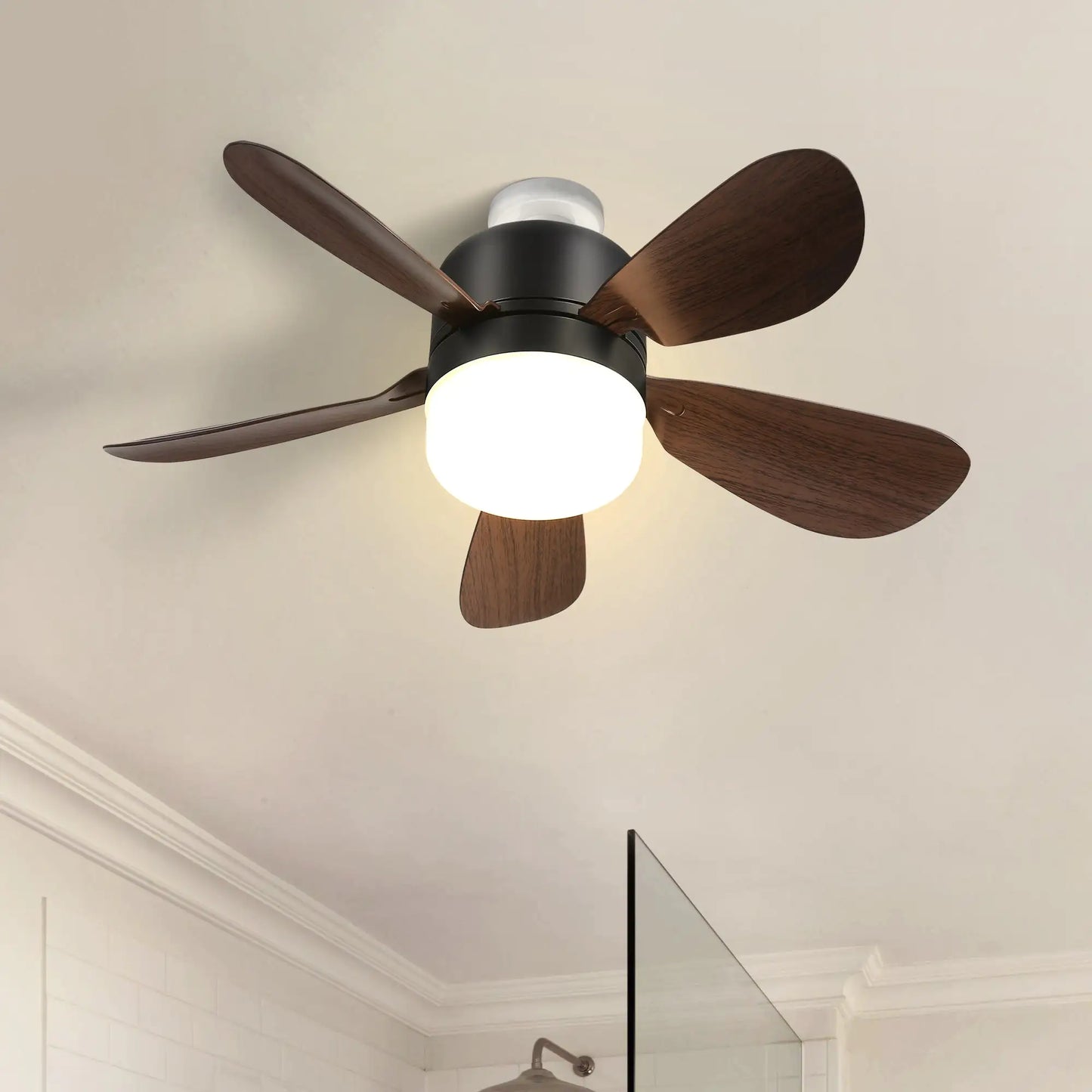 Polycarbonate Ceiling Fan