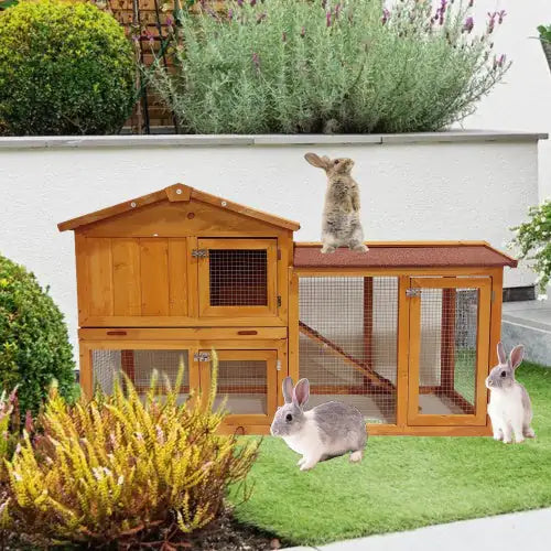 Wearable Powerful Playground Chicken Coop