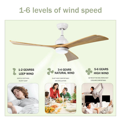 52" Ceiling Fan with Lights