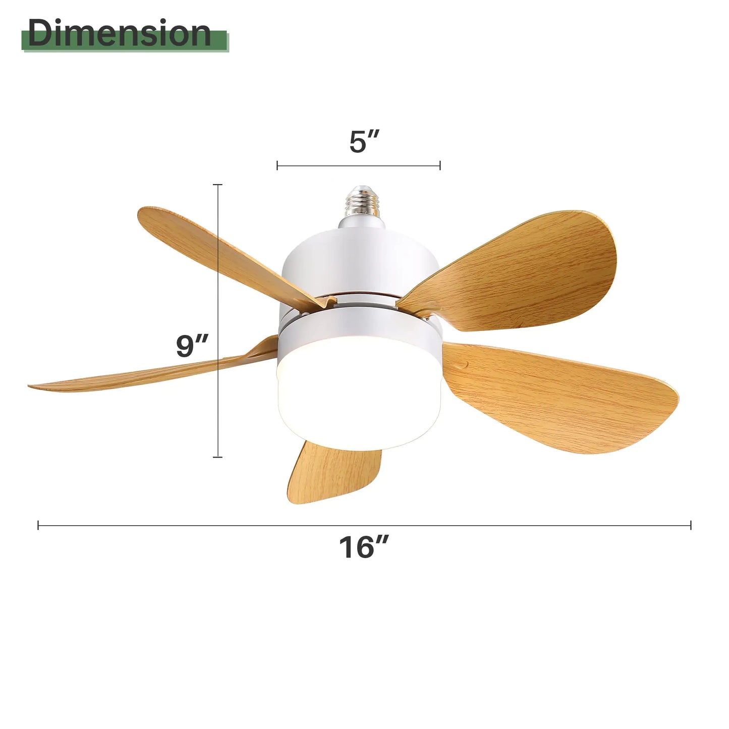 Polycarbonate Ceiling Fan