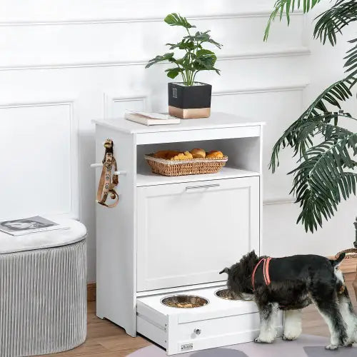 PawHut Pet Feeding Station with Storage