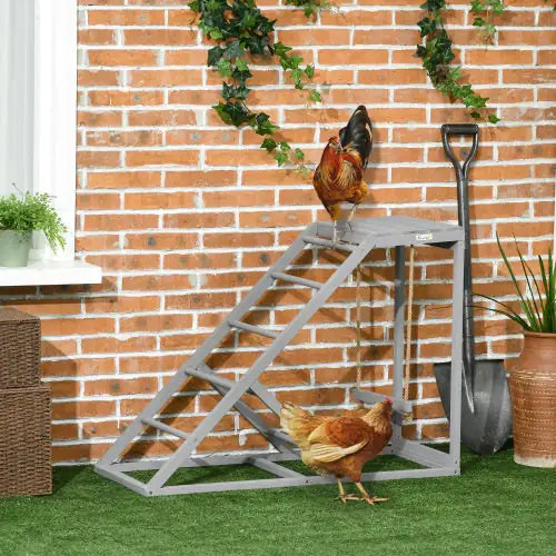 ChickNest Swing & Perch Playset