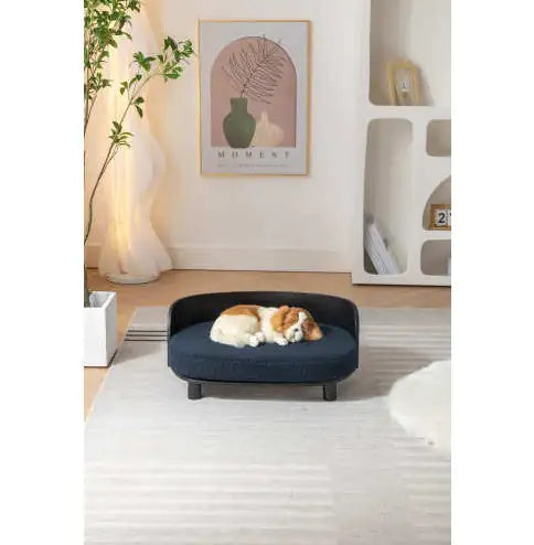 Scandinavian Style Elevated Dog Bed Pet Sofa With Solid Wood Legs And Bent Wood Back, Velvet Cushion, BLACK