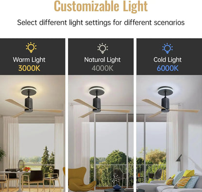 48-Inch Black LED Ceiling Fan