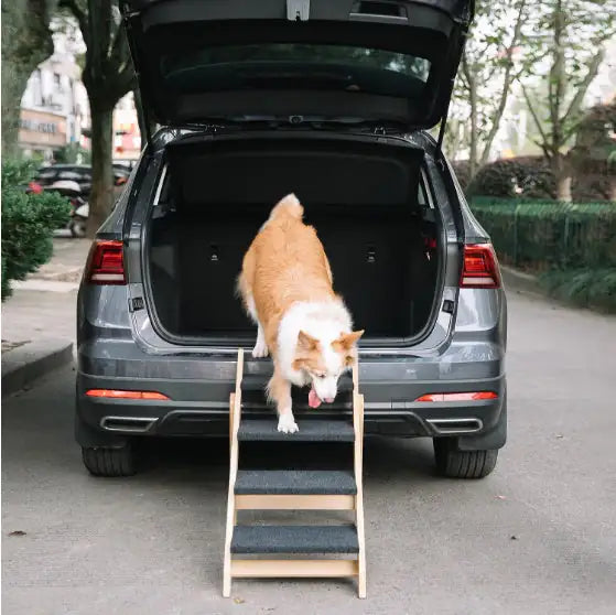 Wooden Dog Stairs/Steps